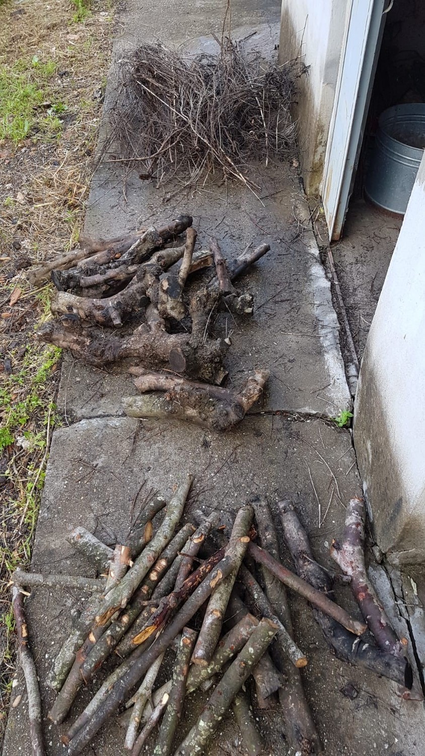 Pile of sticks used for making fire