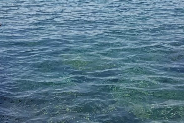 A boy jumping into the sea