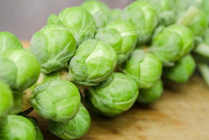 Sprouts